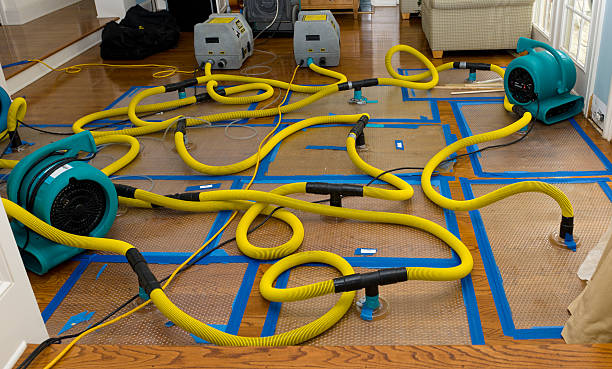 Professional Water Damage Restoration technician working in Allendale, MI